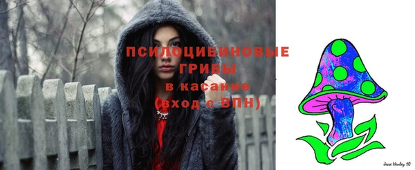 стафф Абдулино