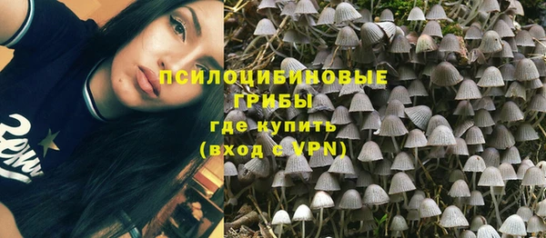 прущие крисы Алексин
