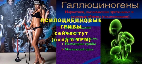каннабис Алексеевка